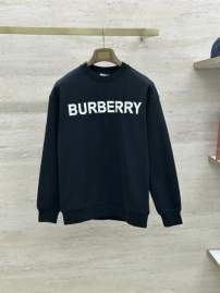 Picture of Burberry Sweatshirt _SKUBurberryS-2XLtltx26931035